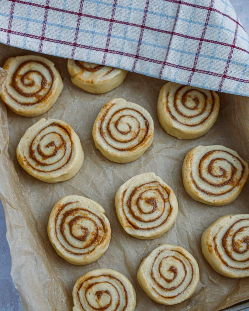Kanelsnegle