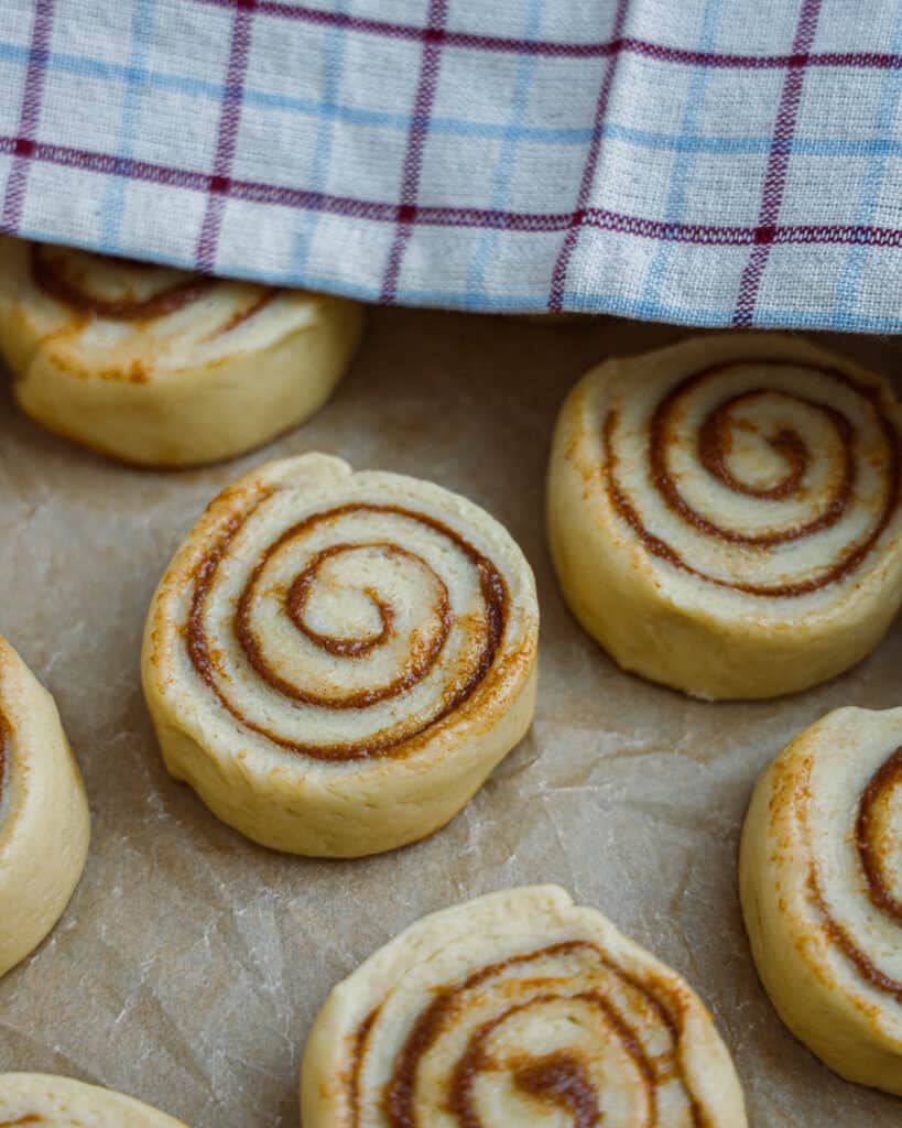 Kanelsnegle