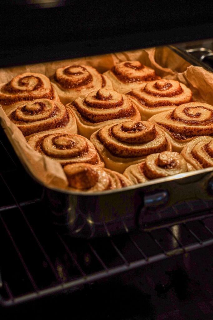 Kanelsnegle