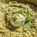Cremet orzo med citorn