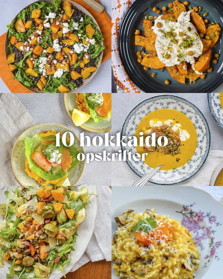 10 hokkaido